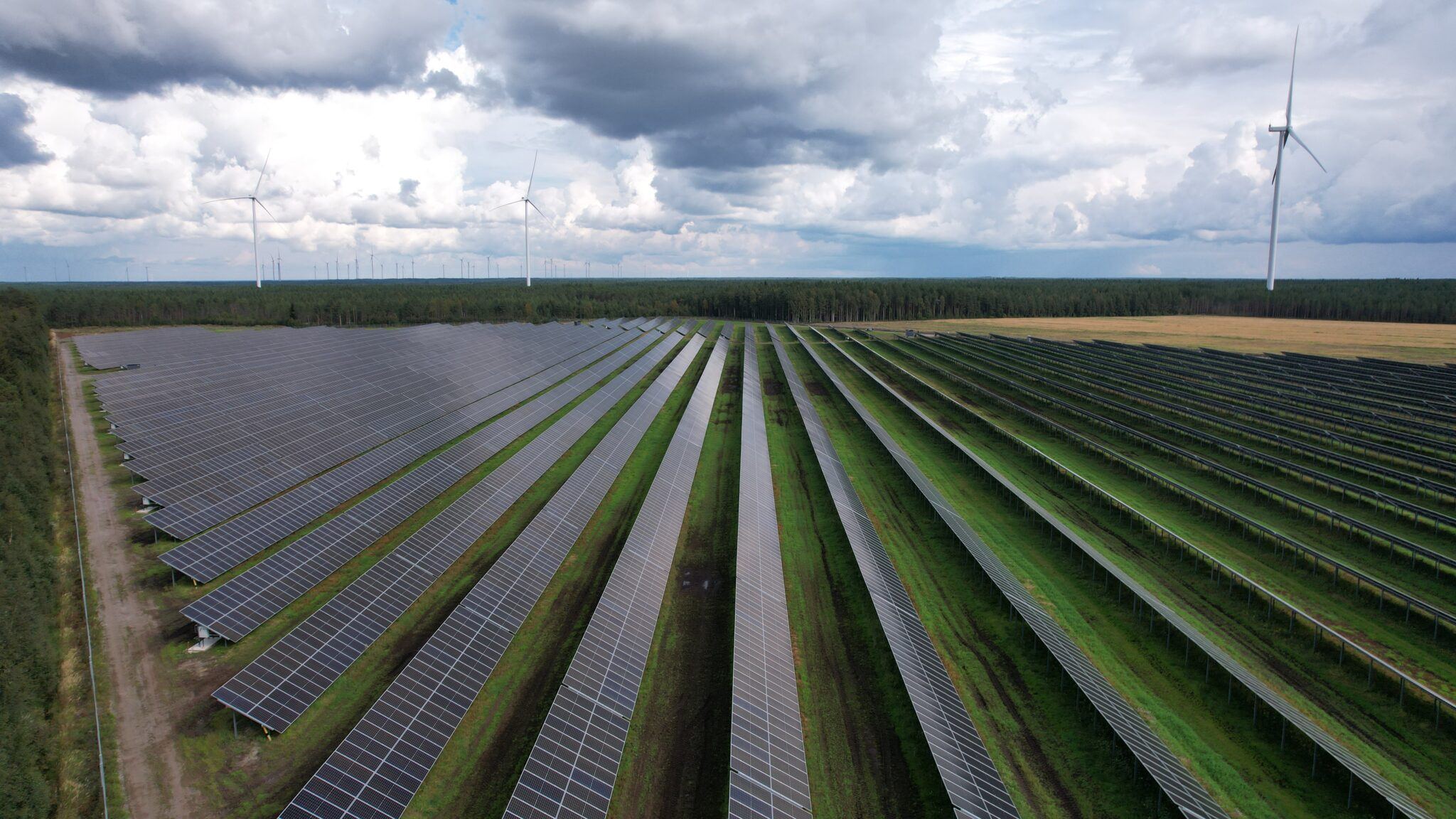 Utility-Scale Solar and Commercial & Industrial Solar - Solarigo